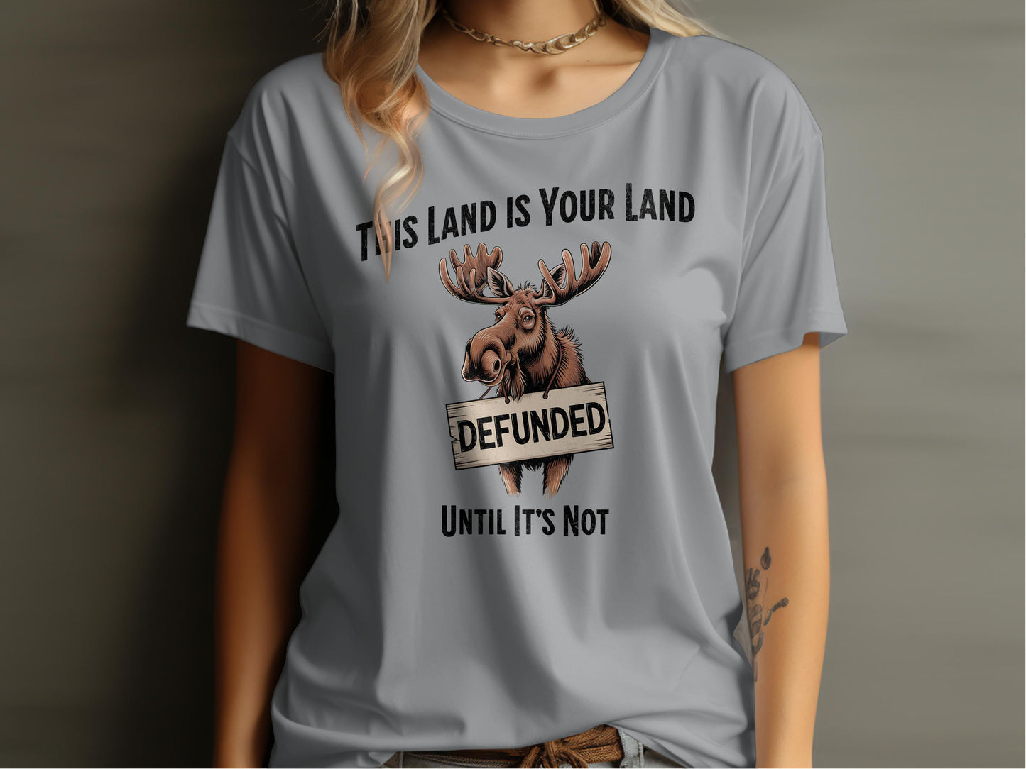 This Land is Your Land Defunded Until It's Not product type