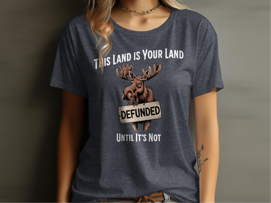 This Land is Your Land Defunded Until It's Not product type